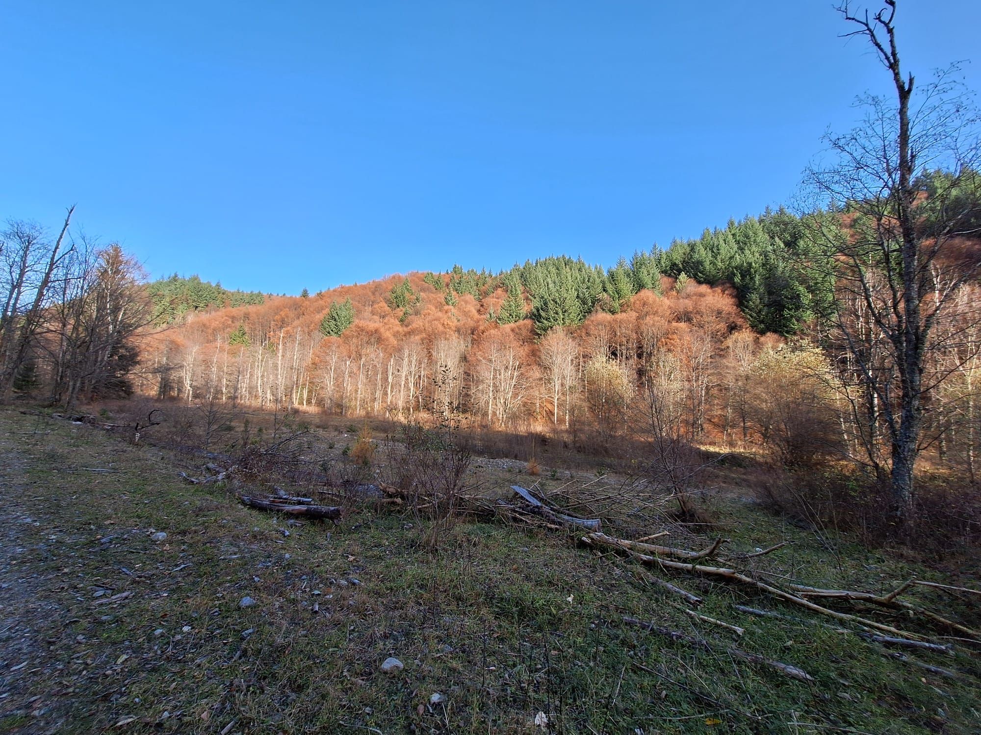 Povești de succes din antreprenoriatul românesc prieten cu natura: Cum îți faci un business într-un parc natural - Poza 20