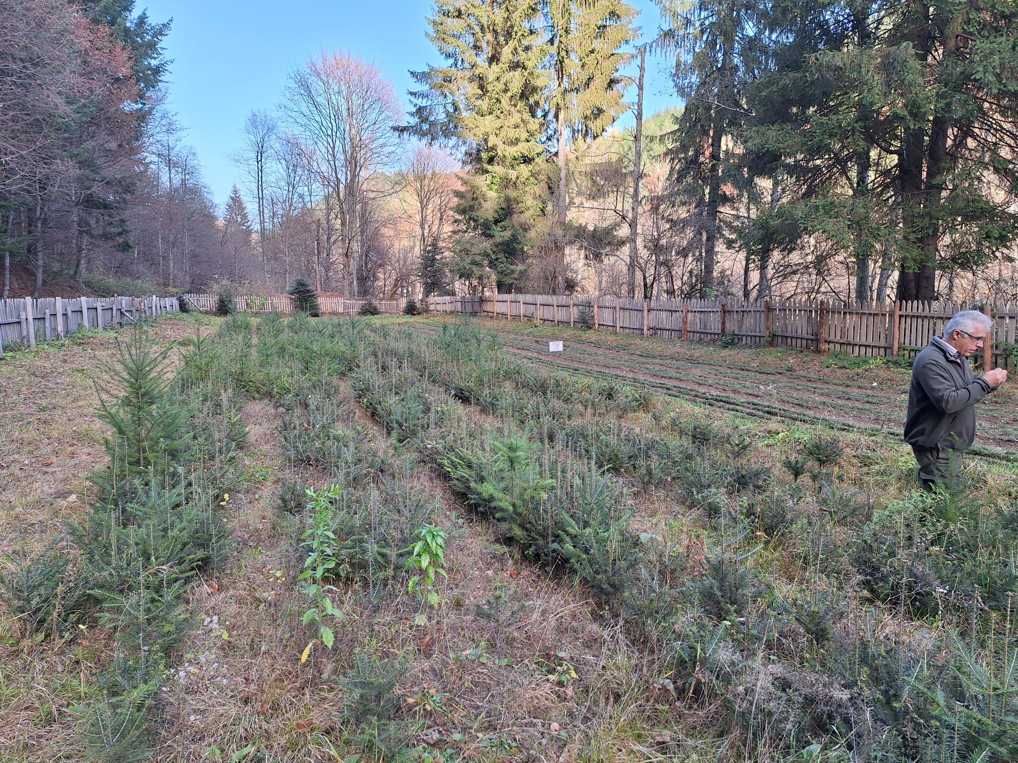 Povești de succes din antreprenoriatul românesc prieten cu natura: Cum îți faci un business într-un parc natural - Poza 21