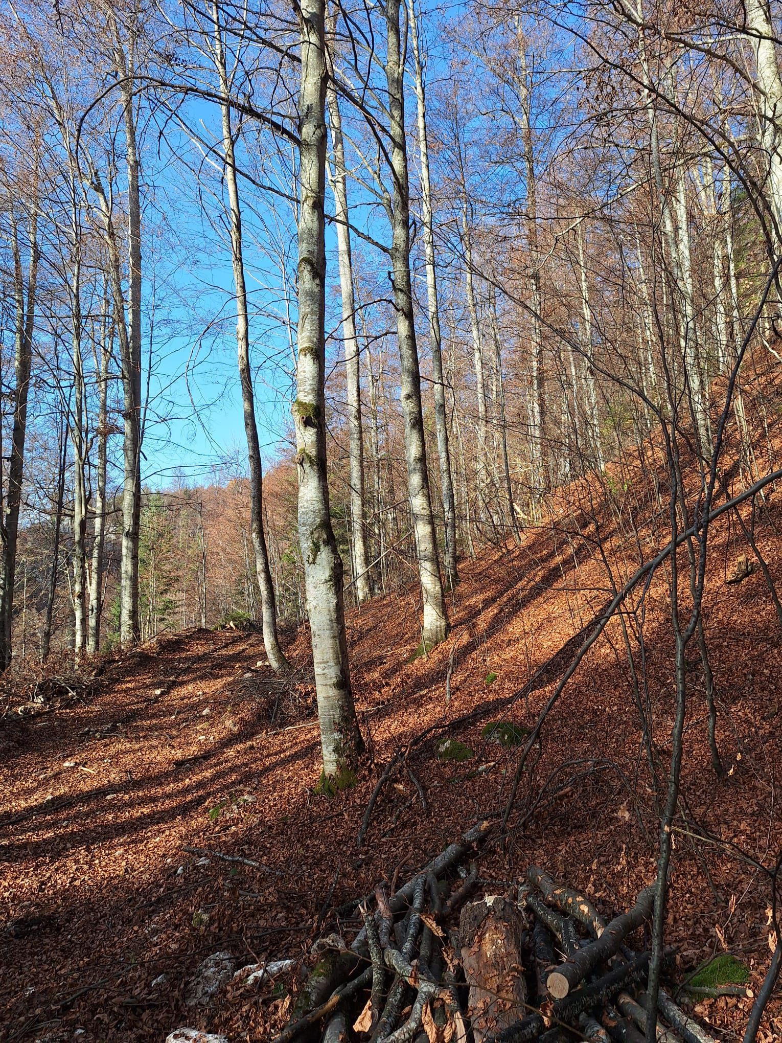 Povești de succes din antreprenoriatul românesc prieten cu natura: Cum îți faci un business într-un parc natural - Poza 22
