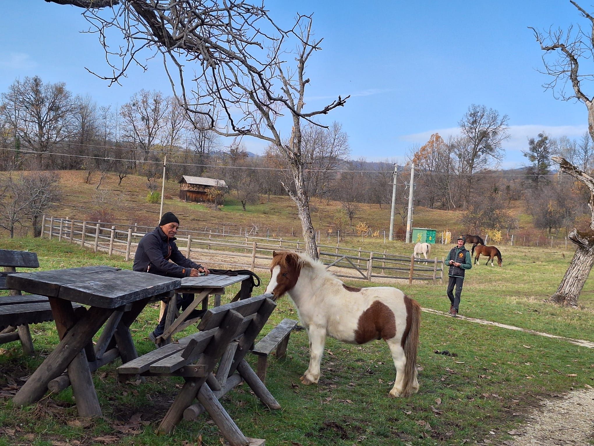 Povești de succes din antreprenoriatul românesc prieten cu natura: Cum îți faci un business într-un parc natural - Poza 7