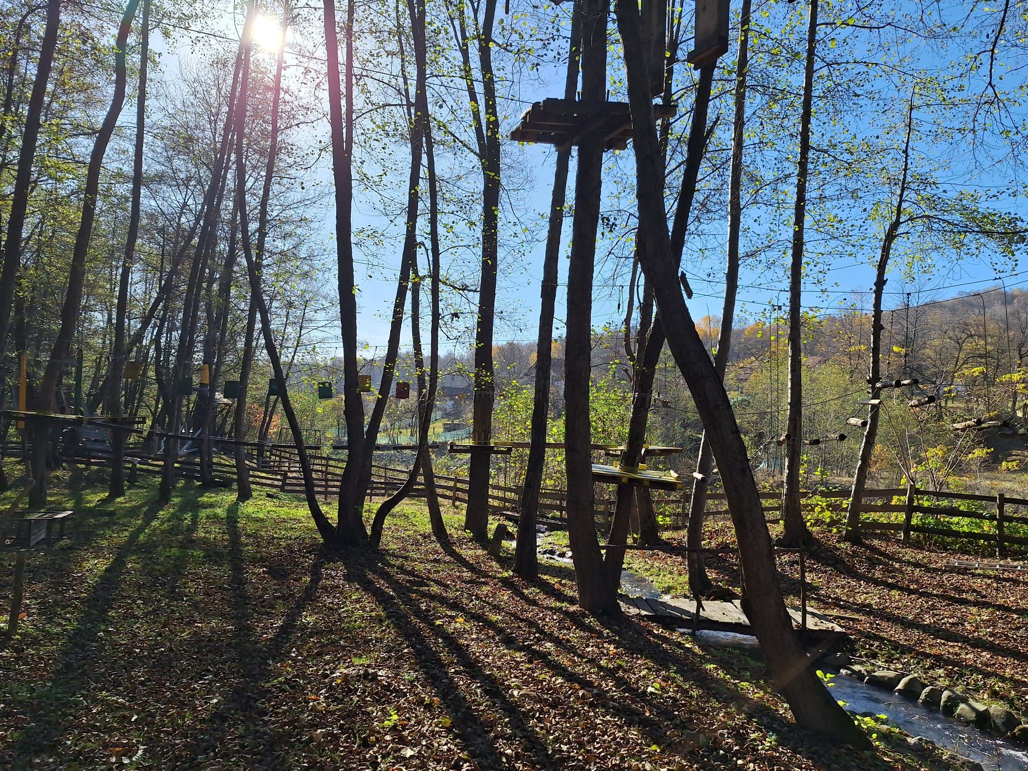 Povești de succes din antreprenoriatul românesc prieten cu natura: Cum îți faci un business într-un parc natural - Poza 38