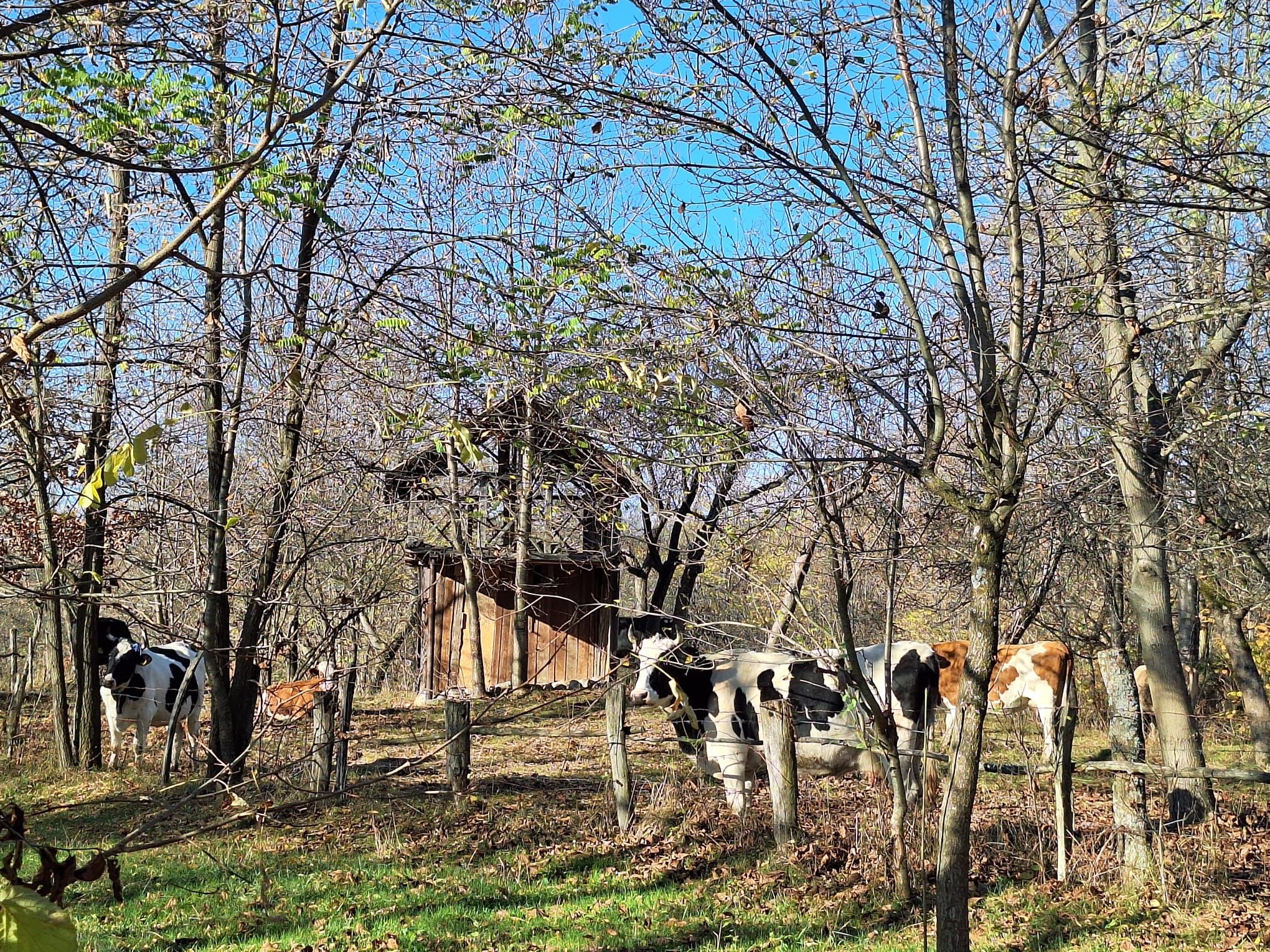 Povești de succes din antreprenoriatul românesc prieten cu natura: Cum îți faci un business într-un parc natural - Poza 12