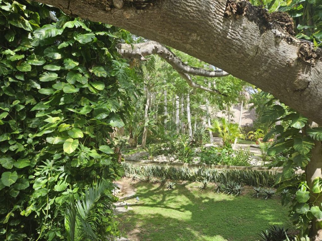Mexic Peninsula Yucatan - Imagine 30