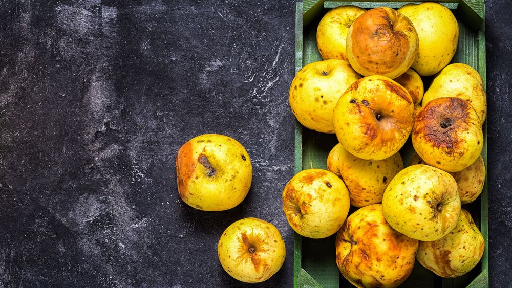 Ce face un lant de supermarketuri din Finlanda pentru a combate risipa de mancare