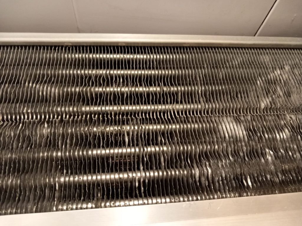 GALERIE FOTO: ANPC a închis restaurantul McDonald's din Gara de Nord, dar și mai multe patiserii - Imagine 10