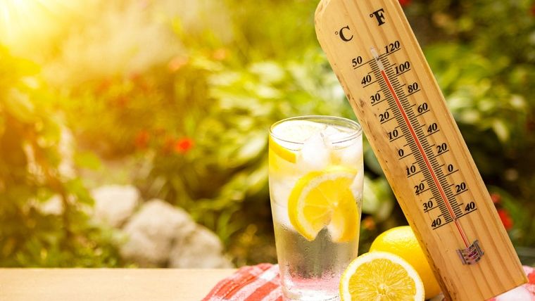 Vremea de Florii va fi frumoasa si calda, cu temperaturi intre 14 si 22 de grade