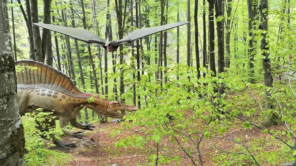 Dino Parc Rasnov, primul parc cu dinozauri din Romania, cifra de afaceri in crestere