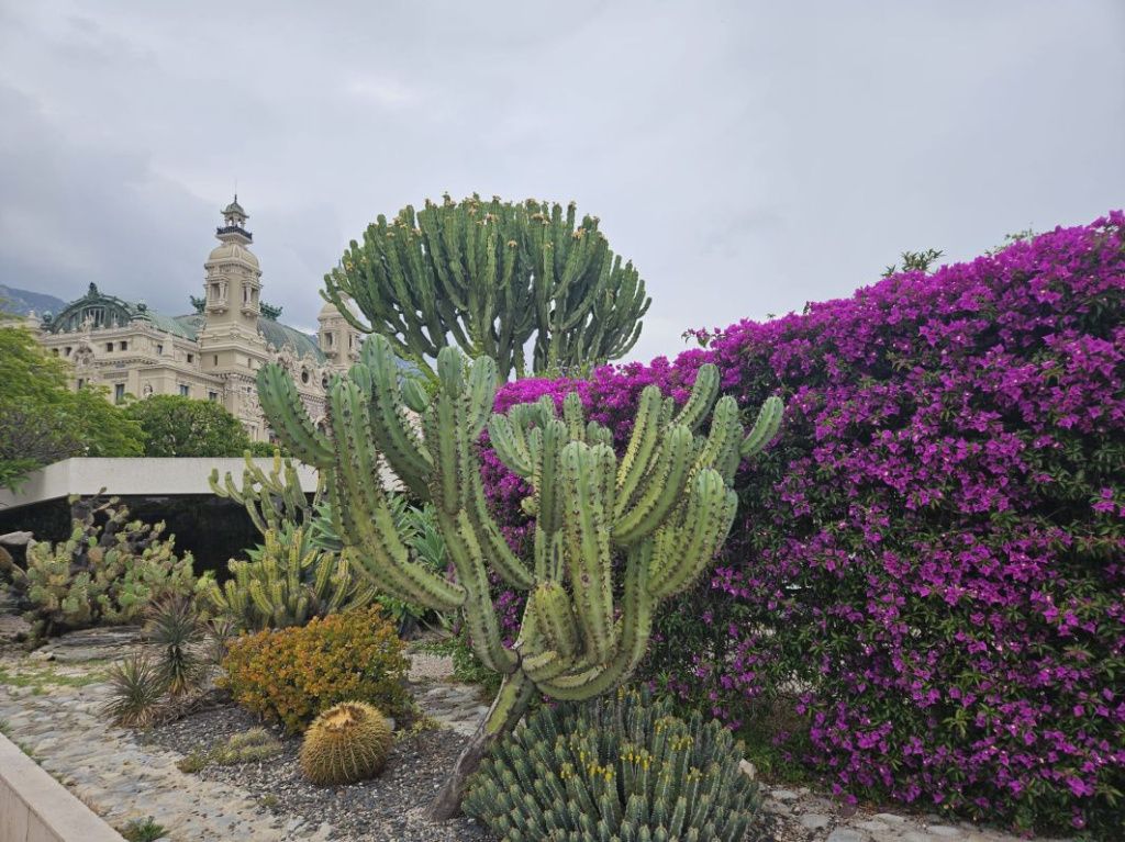 Coasta de Azur 2025 - Imagine 27