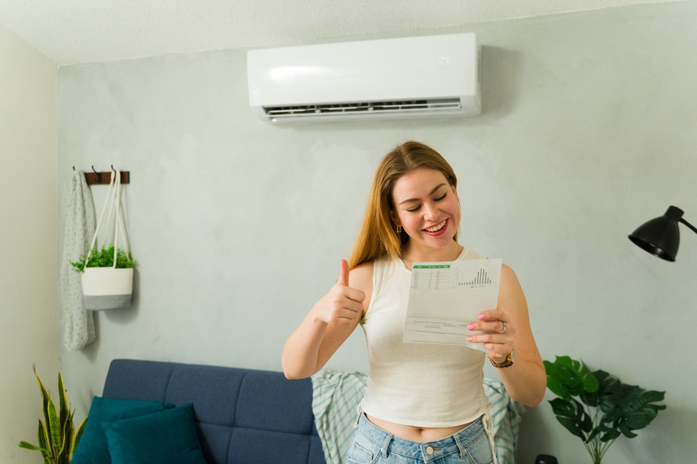 Guvernul pune la bătaie 250 milioane euro pentru modernizarea rețelei electrice și reducerea costurilor cu energia pentru consumatori