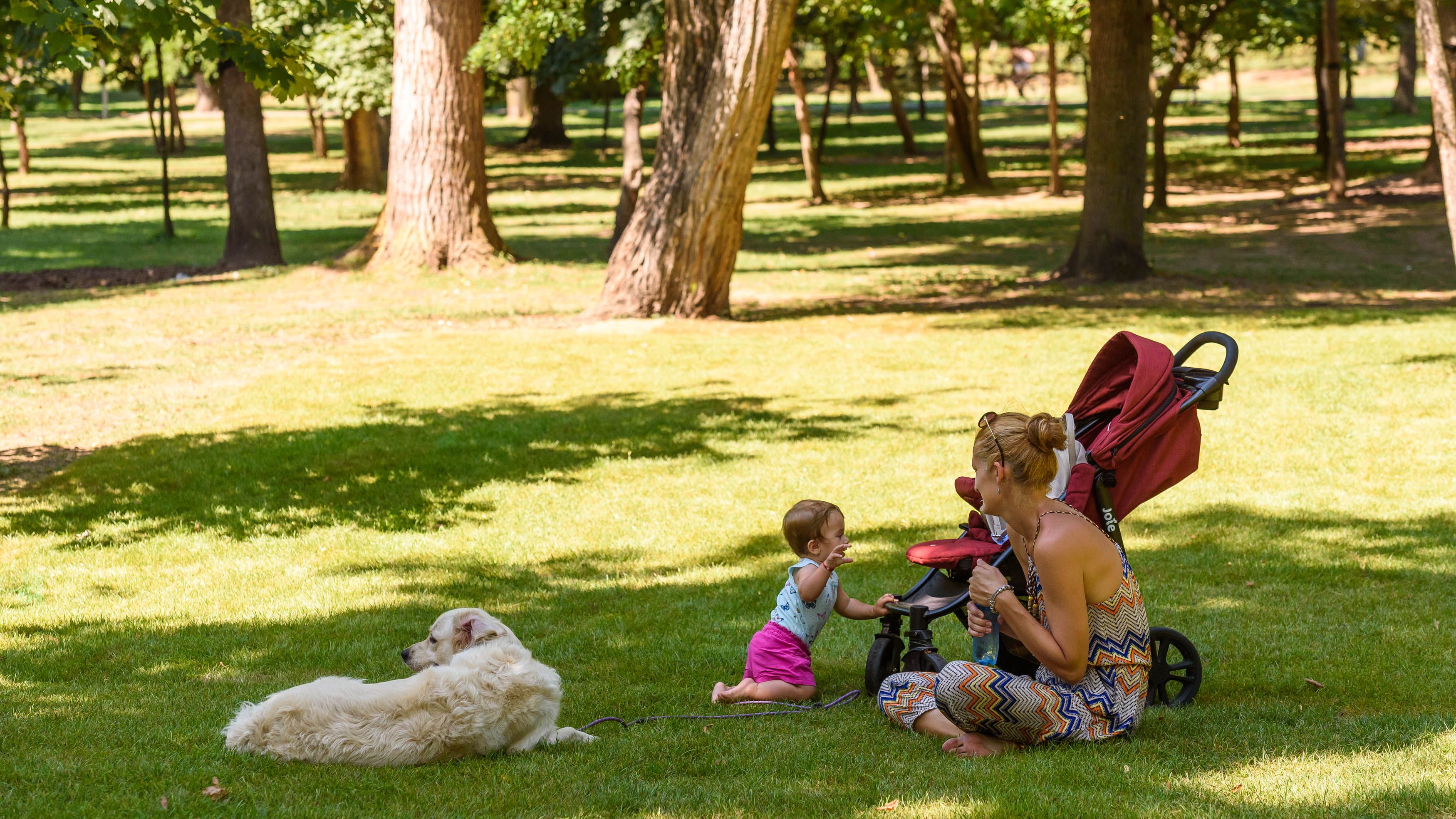 Parcul Central din Cluj, reamenajat pe cheltuiala Untold. Investitia se ridica la 1 milion de lei