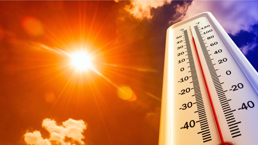 Ce putem face pentru a incetini schimbarea climatica in Romania