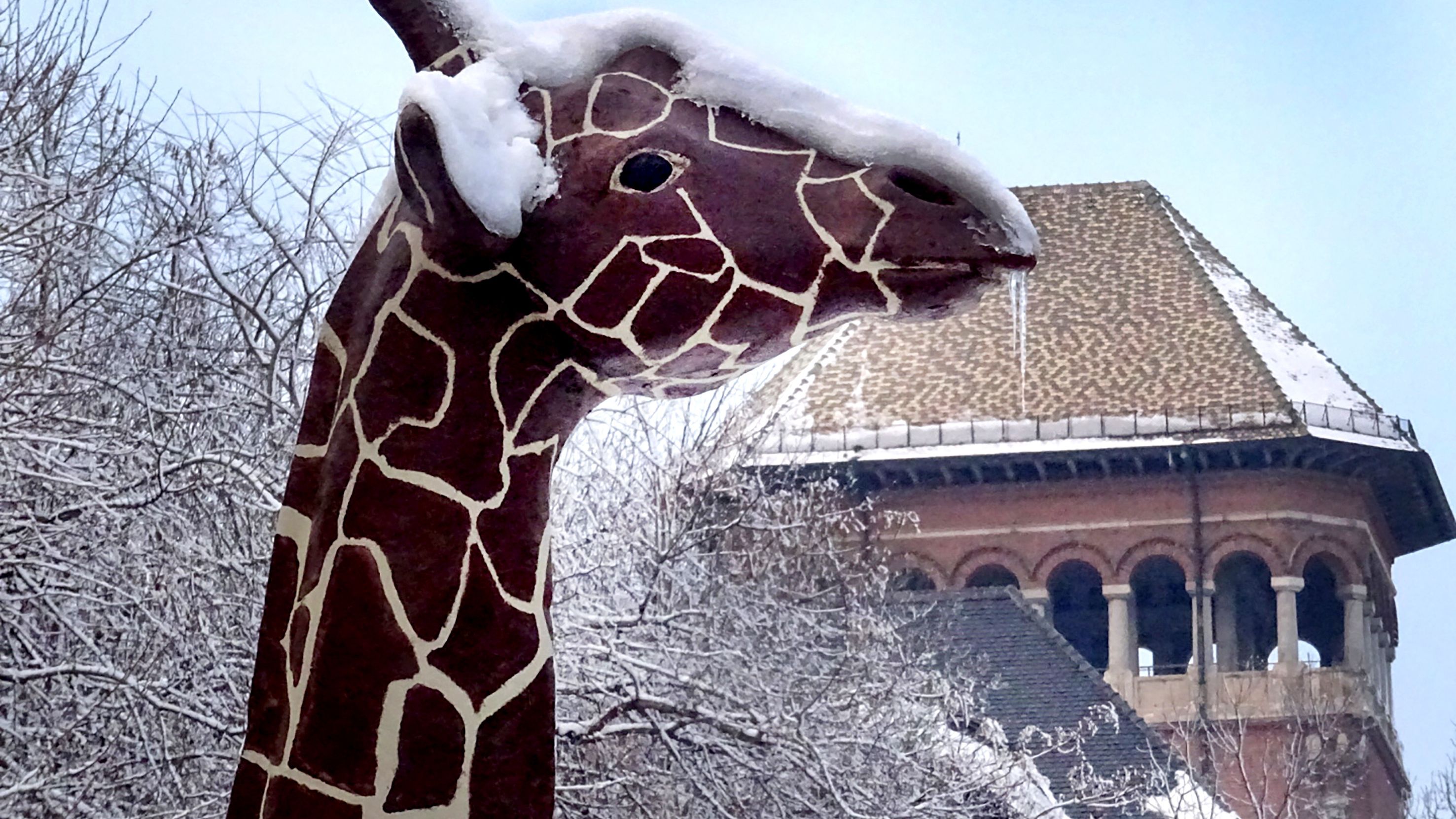 Dancila, despre infiintarea Muzeului Holocaustului: Daca locatia de langa Muzeul 'Antipa' este cea mai buna, acolo va fi realizat