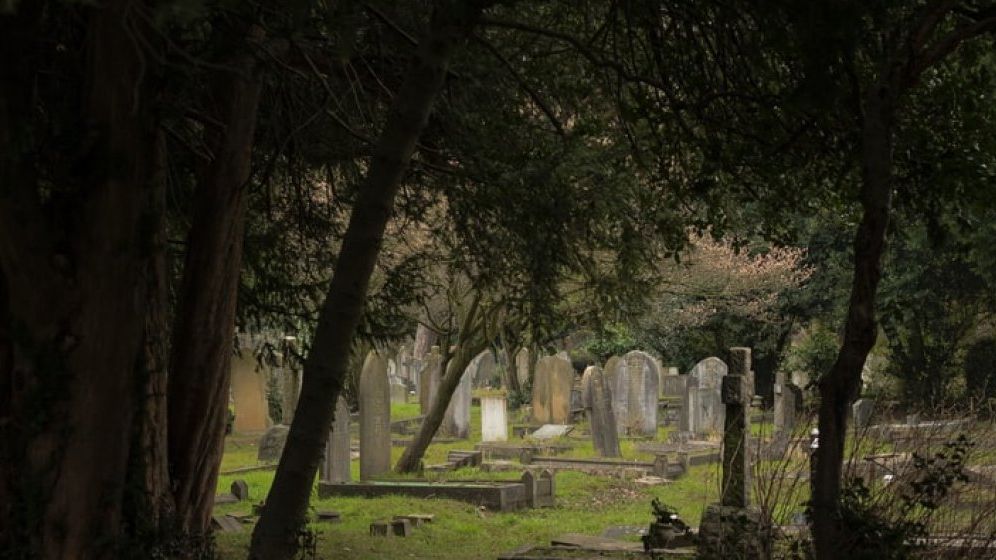 România a înregistrat în mai 2020 cel mai mic număr de decese din această lună în ultimii 7 ani