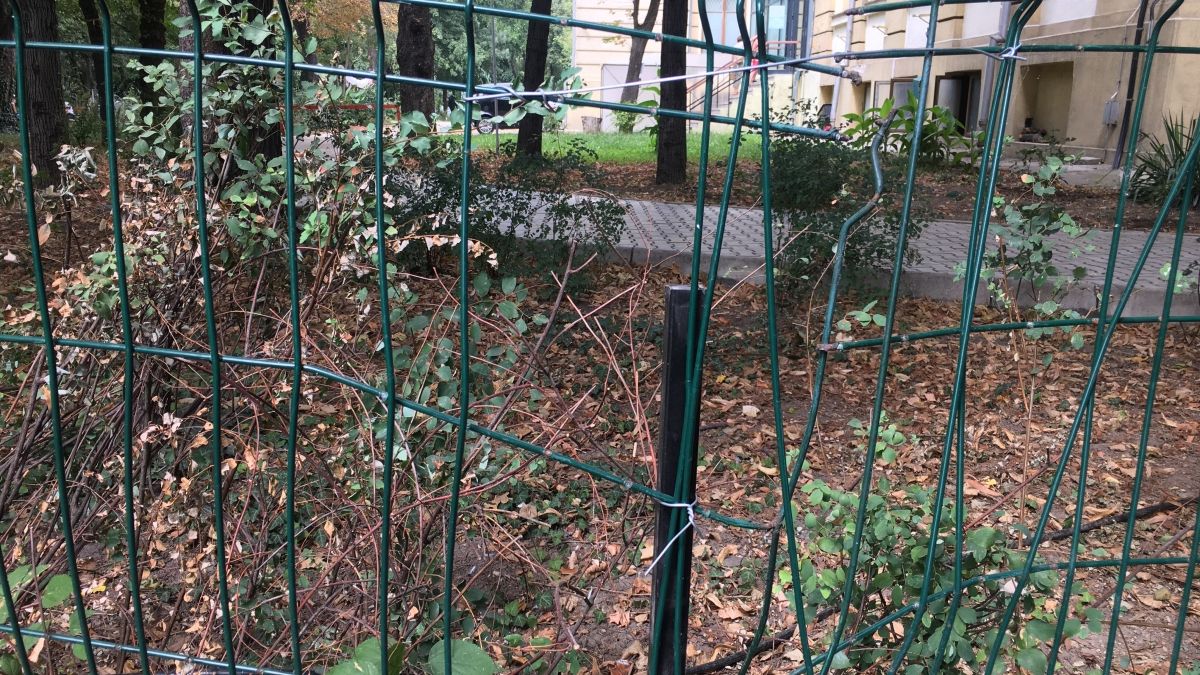 "Vandalizarea" Muzeului Antipa din 10 august? Gardul exterior, avariat