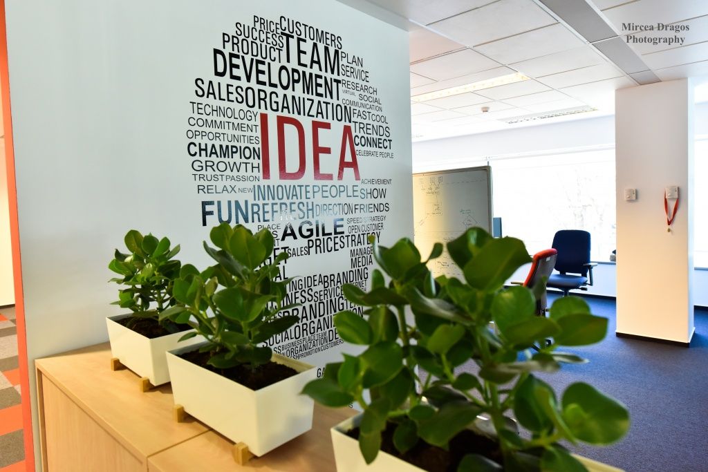 Birou de companie Avangate - Imagine 22
