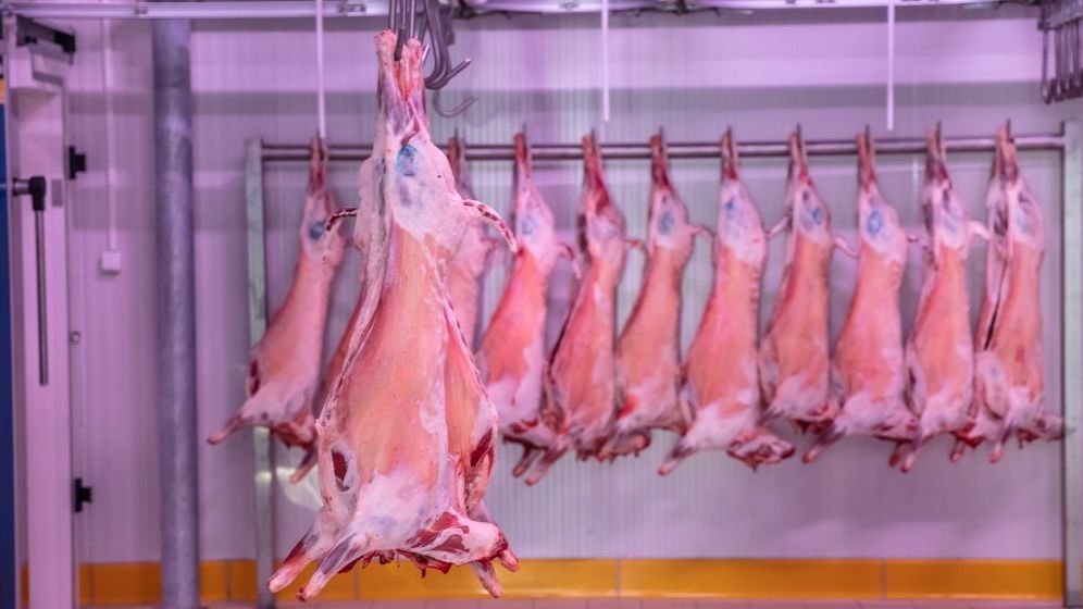 Dana Tănase, ARC: Pierderile estimate în acest an în industria cărnii ar putea depăși mai multe milioane de euro