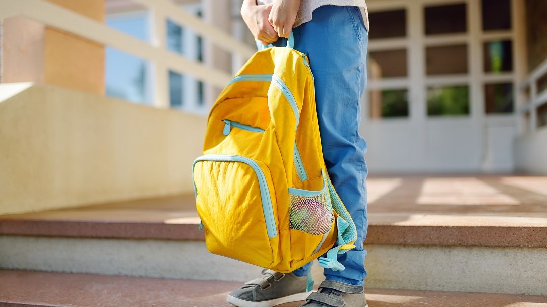 Sondaj: Aproape jumătate dintre profesori consideră programa școlară prea încărcată
