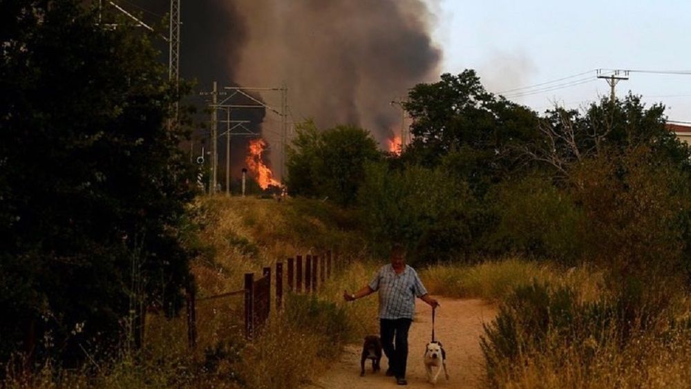 Anchetă în Grecia. Se crede că anumite incendii au fost provocare intenționat