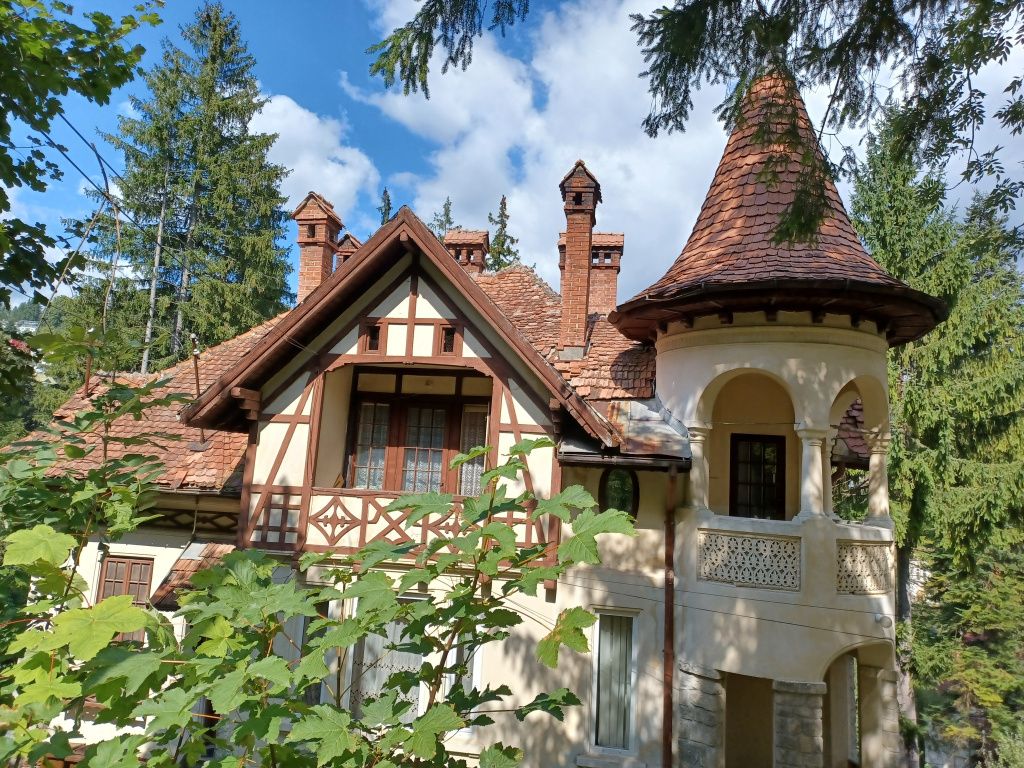 FOTO: Cum arată conacul confiscat de la nepotul lui Carol al II-lea. ANAF îl ieftinește cu 25% - Imagine 2