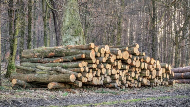 Tranzactiile cu produse la mana a doua au redus emisiile de carbon din Romania cu peste 1 milion de tone