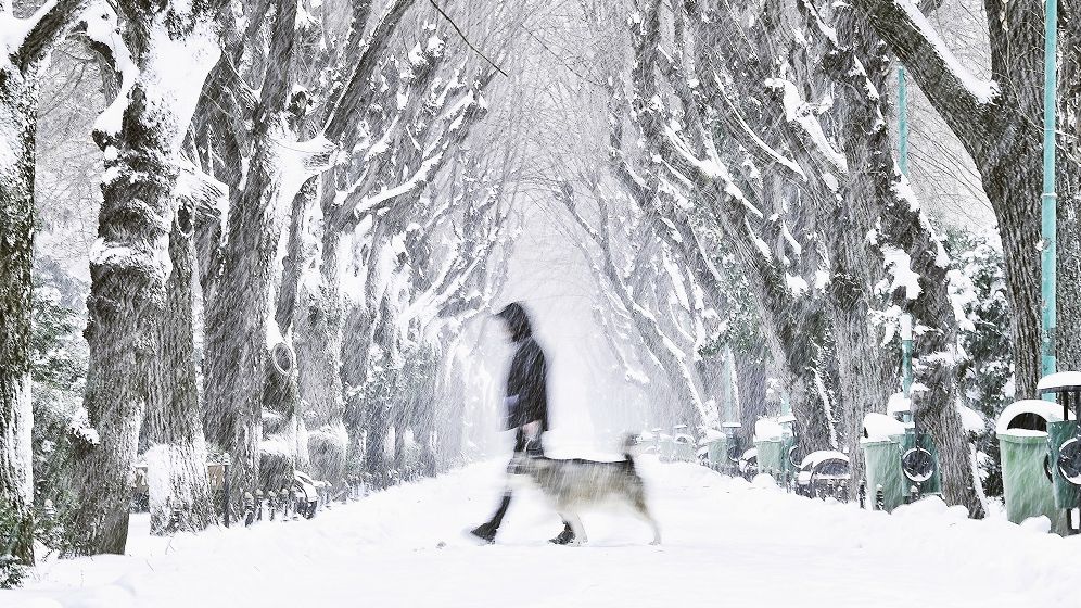 ANM: Prognoza meteo pentru restul săptămânii. Unde va fi cod galben de viscol