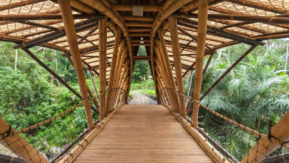 Povestea designerului care a părăsit New York-ul pentru a constui cele mai înalte și luxoase conace din bambus în Bali