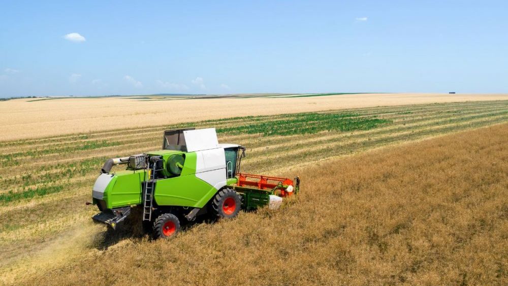 Planificarea campaniei: de ce contează kitul de recoltat floarea soarelui pentru rentabilitate în România