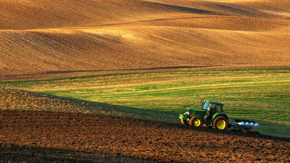 România a devenit cel mai mare exportator de cereale din UE, în contextul războiului din Ucraina