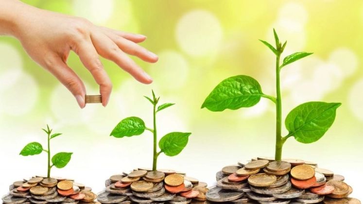 Educatie financiara: de ce avem nevoie de ea pentru protectia finantelor personale