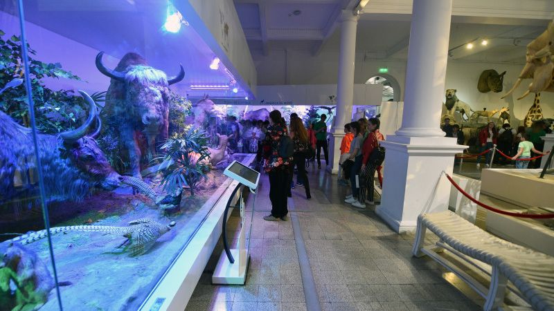 Noaptea Muzeelor 2019. Sute de muzee vor fi deschise in noaptea de 18 mai