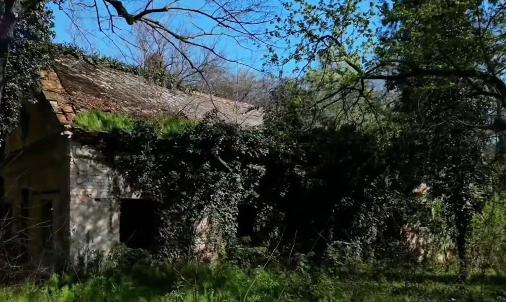 Alfred Simonis / Facebook - captură video