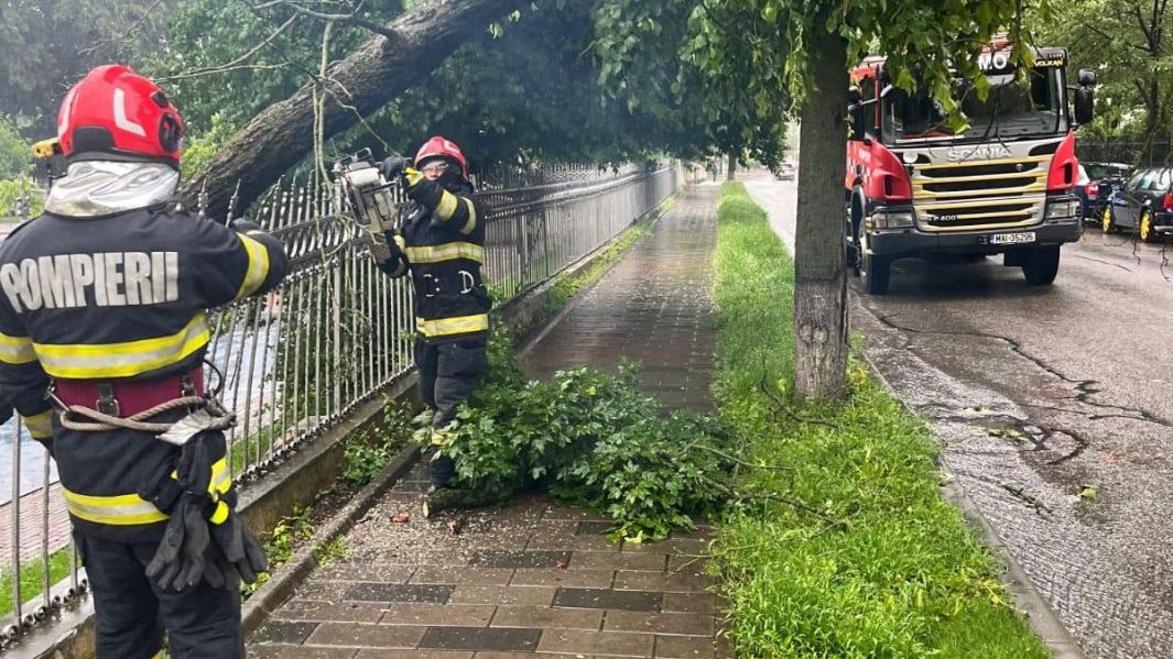 Trafic blocat în București: Un copac căzut pe patru autovehicule şi o conductă de gaze