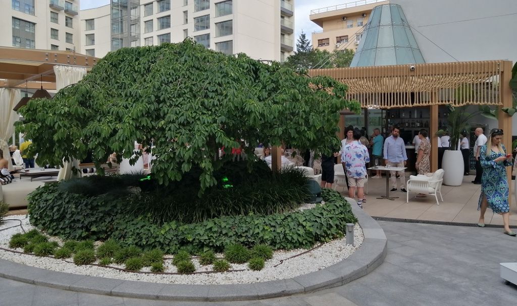 FOTO | Radisson Blu s-a reinventat: terasa cu piscină a devenit plajă urbană. Cum arată Nami Bea - Imagine 1