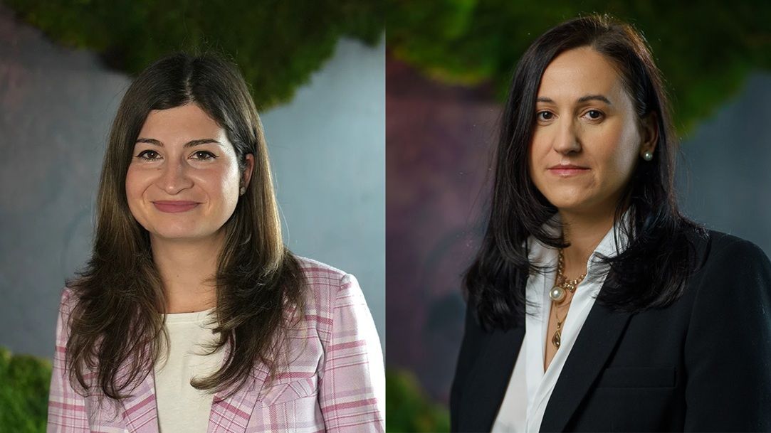 Cum poate fi eliminat „pe bune” dosarul cu șină: Rezolvarea problemelor cu achizițiilor publice, „puntea” dintre stat și mediul privat