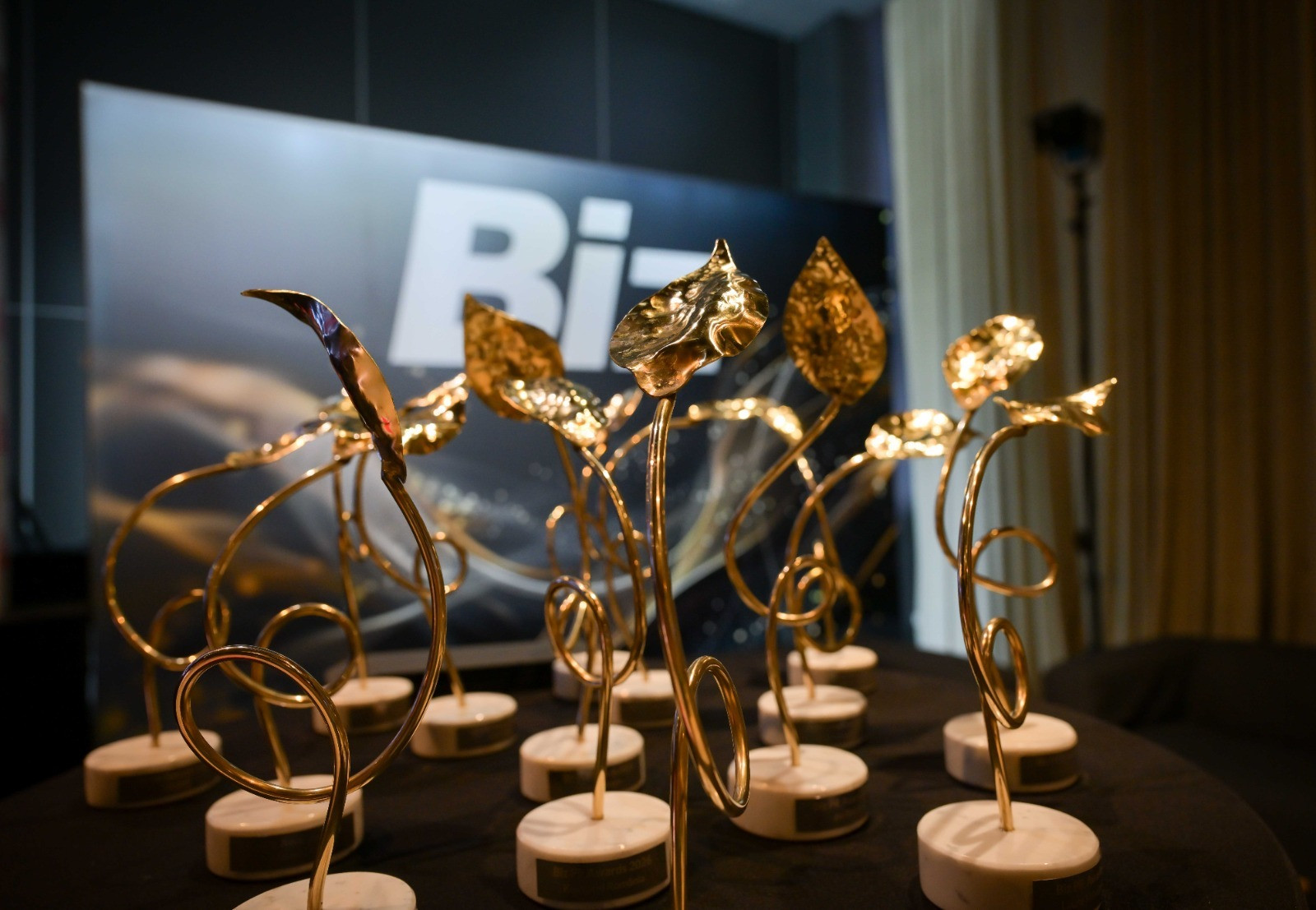 Cei mai performanți și inovatori comunicatori sunt laureații Biz PR Awards 2026