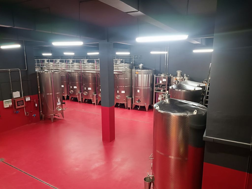 GALERIE FOTO: Cum arată crama Villa VinÃ¨a, după cele 2 milioane de euro investite în extinderea - Imagine 6