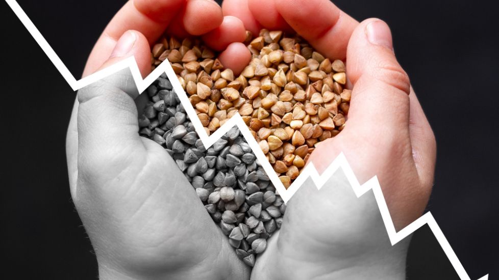 Vești proaste pentru agricultura românească: scăderi ale producției la principalele culturi în anul 2022