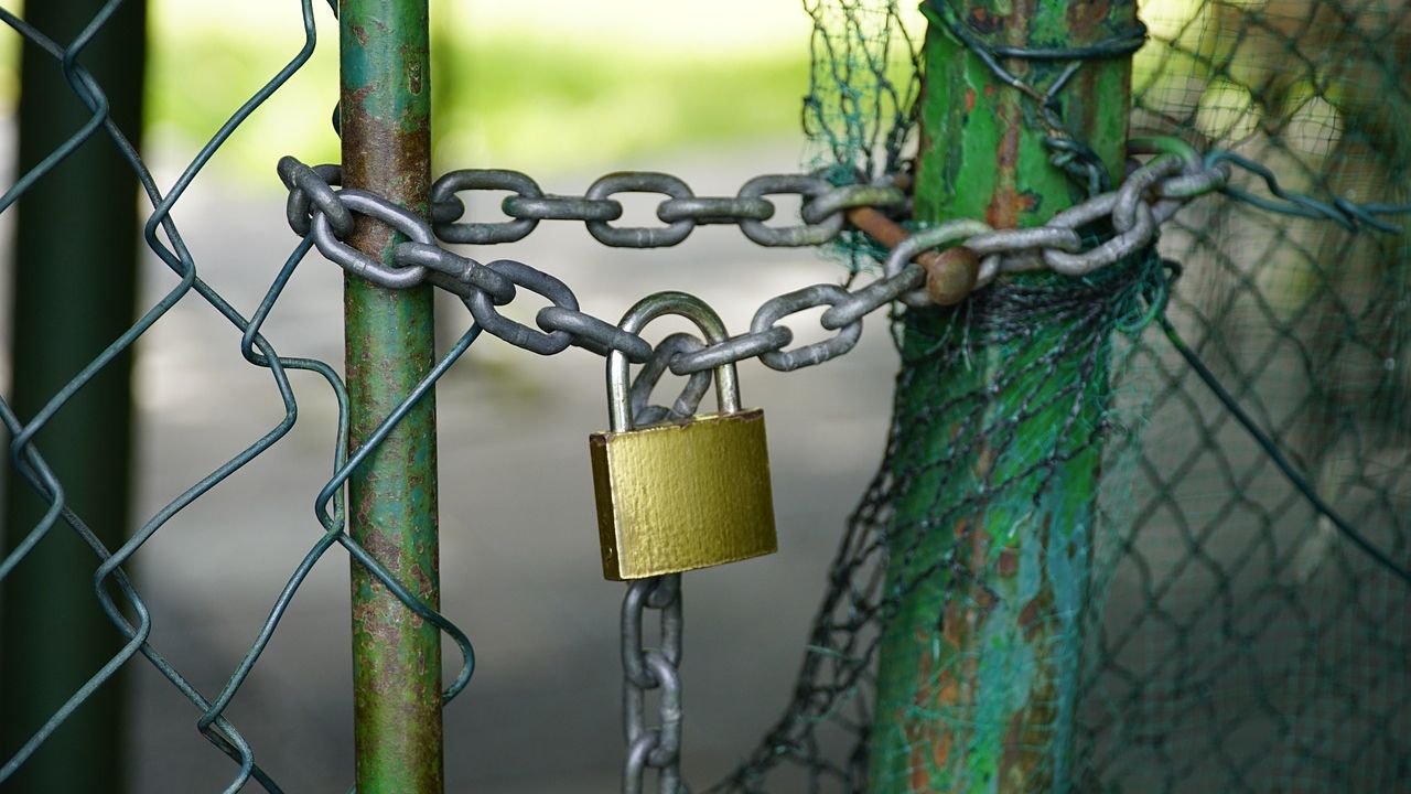 Patronii români nu își doresc amnistia: „Dacă o firmă nu are bani să-și plătească obligațiile, soluția firească ar trebui să fie falimentul”