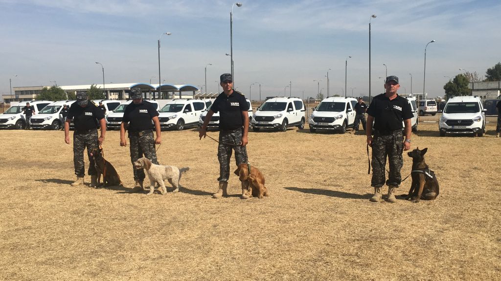 Patrupezii care aduc venituri de peste un milion de euro din marfa de contrabanda descoperita - Imagine 2