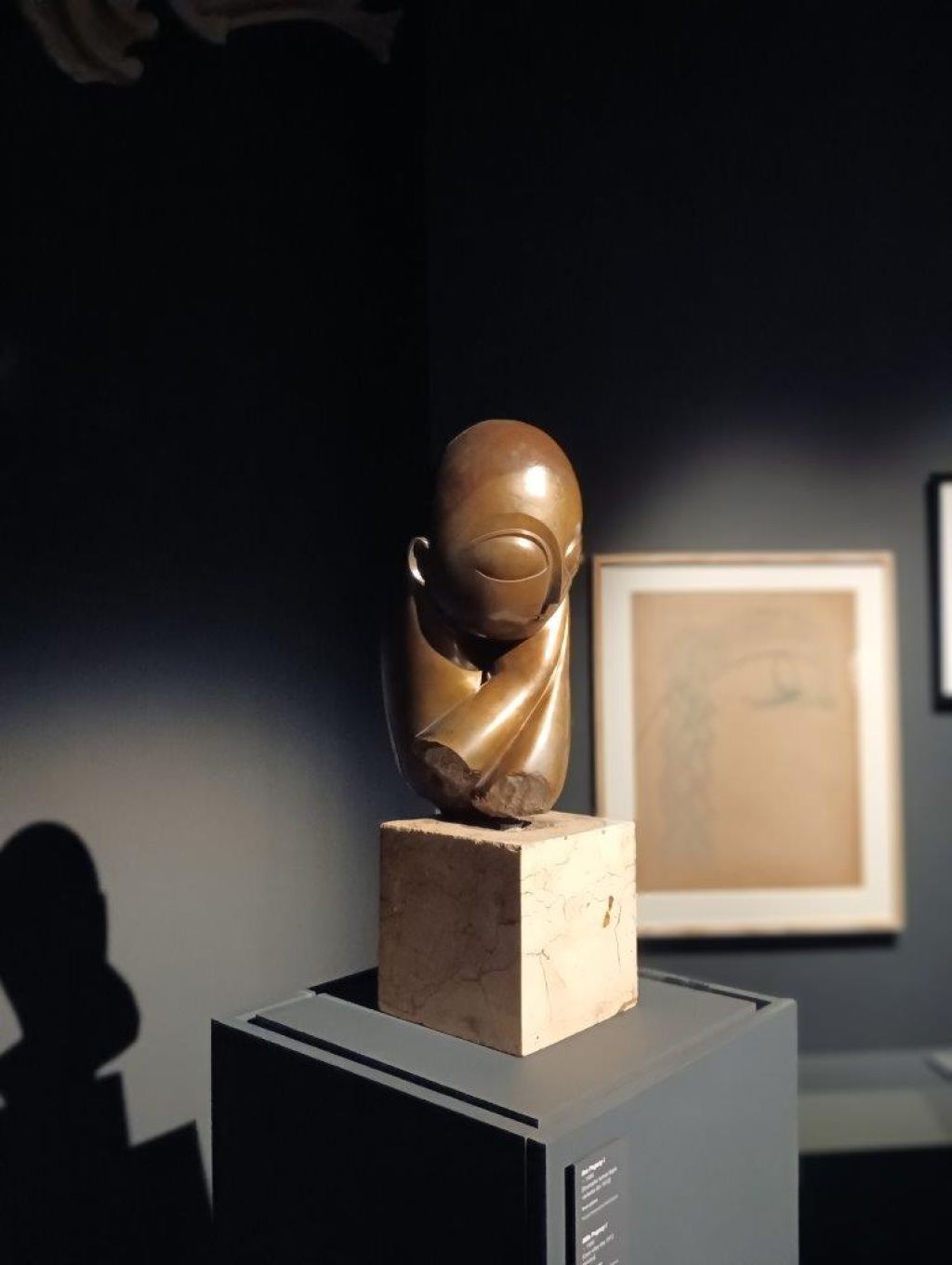 Expoziția Brâncuși de la Timișoara: capodoperele, în vizită în patria părintelui lor - Imagine 37