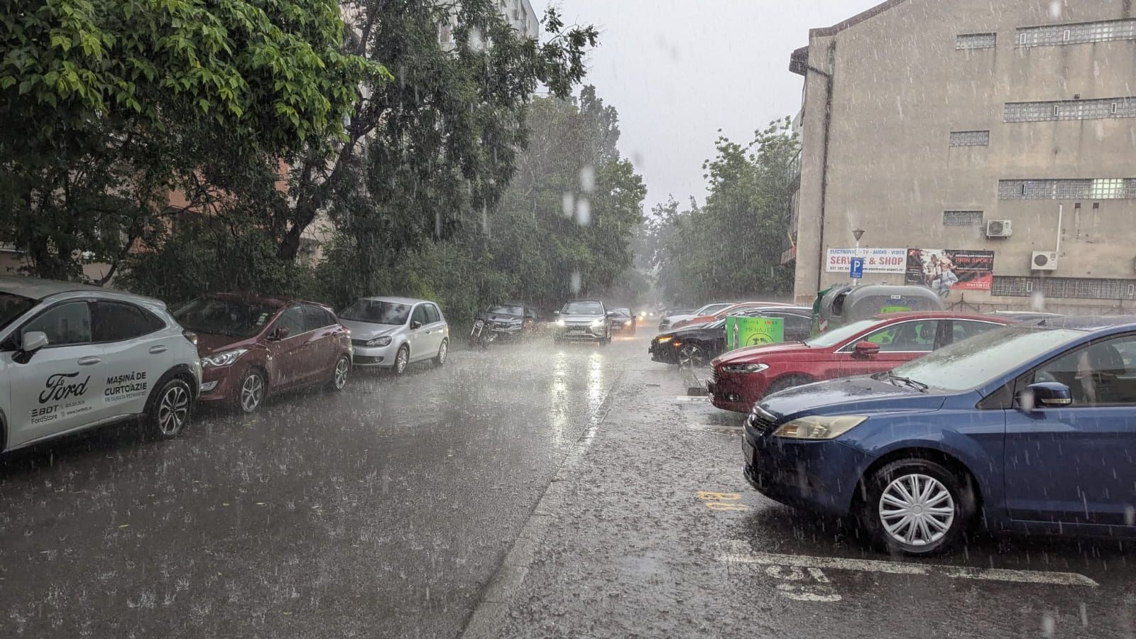 UPDATE Furtună în București. Un copac a căzut peste un tramvai: traficul este oprit