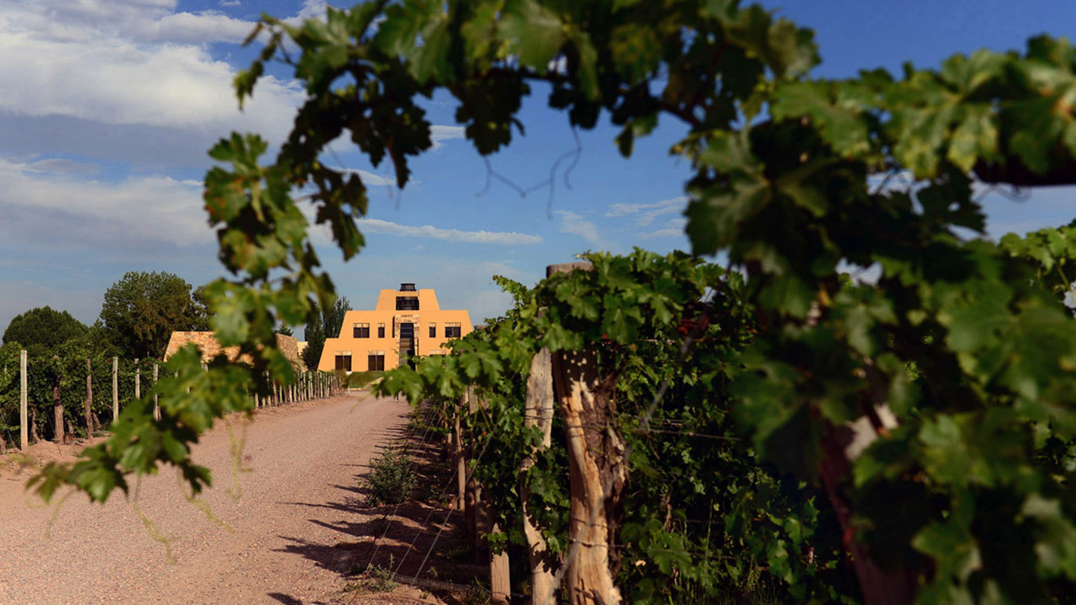 Topul celor mai bune 100 de crame din lume. Nici măcar una nu e din România, deși avem cele mai multe podgorii din UE