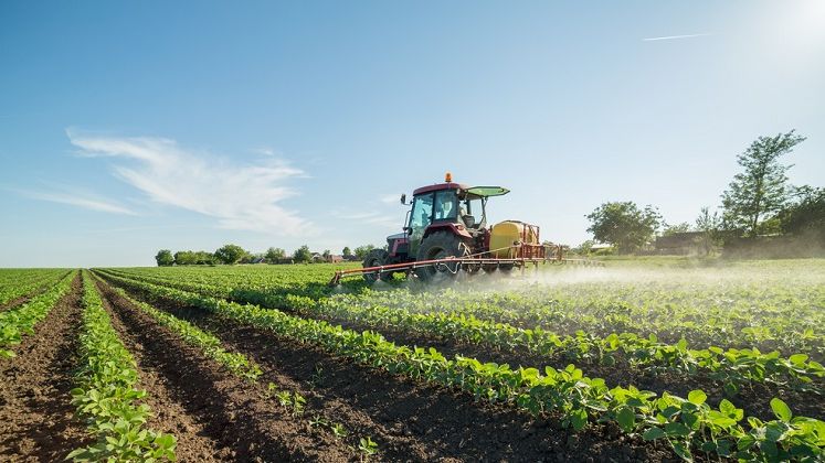 Vouchere pentru formare profesionala a fermierilor: 70-80 euro pe zi, de fermier