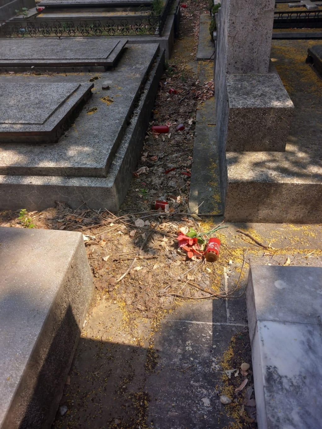 [FOTO] ANPC a împărțit amenzi la firmele de pompe funebre. Ce nereguli s-au găsit - Imagine 6