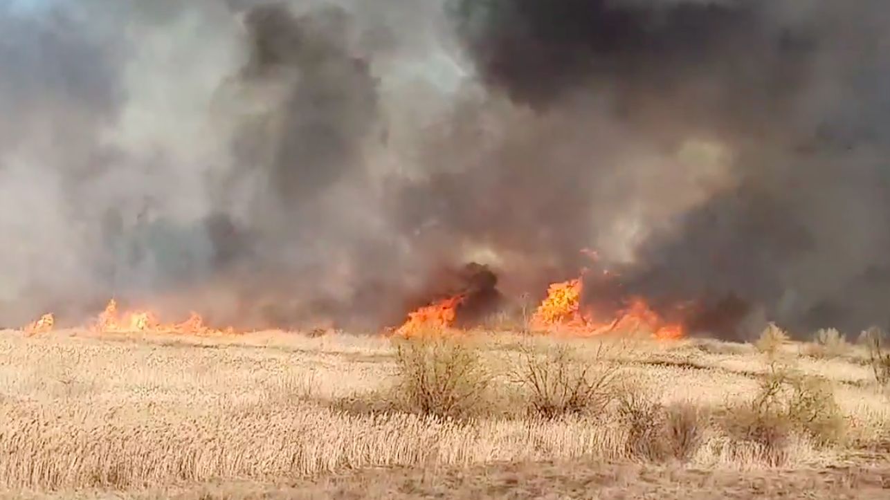 [Video] INCENDIU de proporții în Delta Văcărești