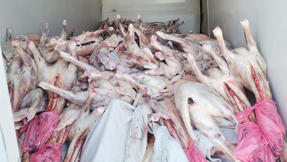 FOTO: Peste o tonă de carne de miel, confiscată la intrarea în București chiar înainte de Paște