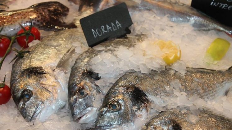 Romfood Trading vrea vanzari de 2,6 mil. euro din peste si fructe de mare in HoReCa
