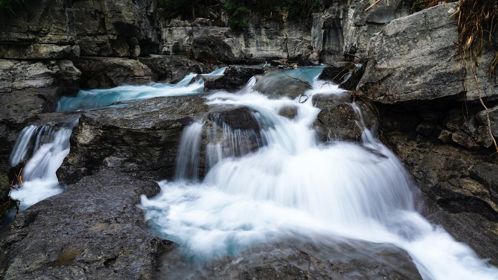 Amenzi pentru bistriţeni ieşiţi din zona carantinată pentru poze şi apă de izvor