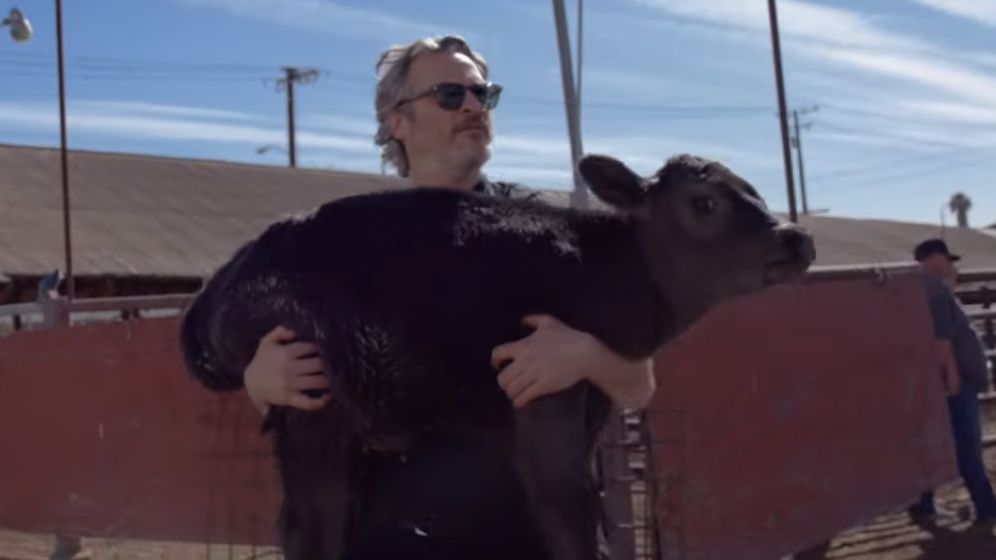 Joaquin Phoenix a salvat o vacă şi un viţel de la abator