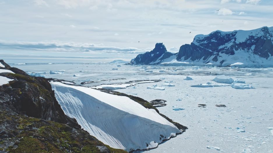 Încălzirea globală ”înverzește” Antarctica. Imaginile surprinse pe continentul înghețat